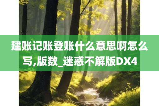 建账记账登账什么意思啊怎么写,版数_迷惑不解版DX4