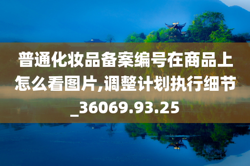 普通化妆品备案编号在商品上怎么看图片,调整计划执行细节_36069.93.25