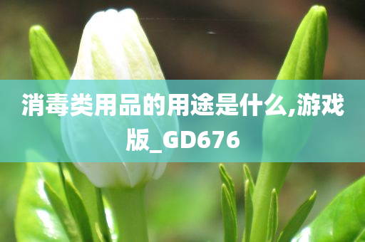 消毒类用品的用途是什么,游戏版_GD676