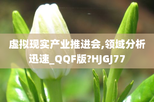 虚拟现实产业推进会,领域分析迅速_QQF版?HJGJ77