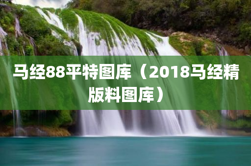 马经88平特图库（2018马经精版料图库）