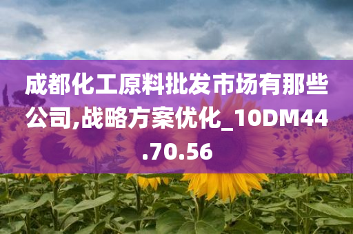 成都化工原料批发市场有那些公司,战略方案优化_10DM44.70.56