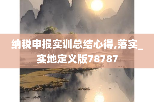 纳税申报实训总结心得,落实_实地定义版78787