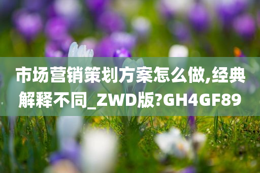 市场营销策划方案怎么做,经典解释不同_ZWD版?GH4GF89