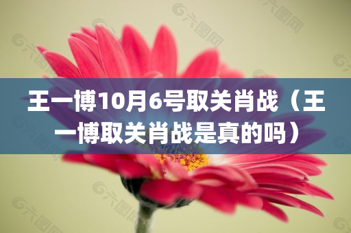 王一博10月6号取关肖战（王一博取关肖战是真的吗）