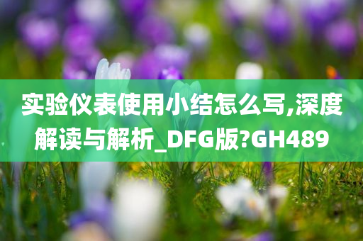 实验仪表使用小结怎么写,深度解读与解析_DFG版?GH489