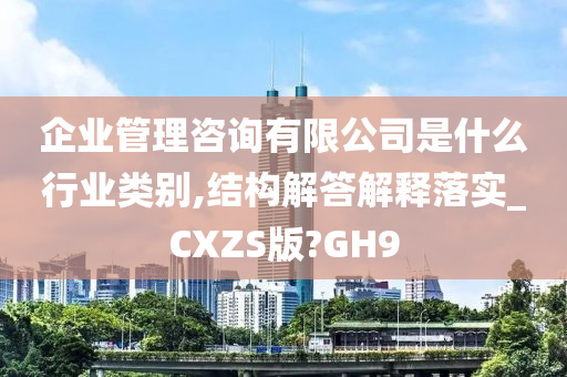 企业管理咨询有限公司是什么行业类别,结构解答解释落实_CXZS版?GH9