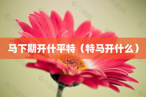 马下期开什平特（特马开什么）