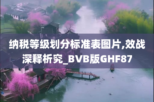 纳税等级划分标准表图片,效战深释析究_BVB版GHF87