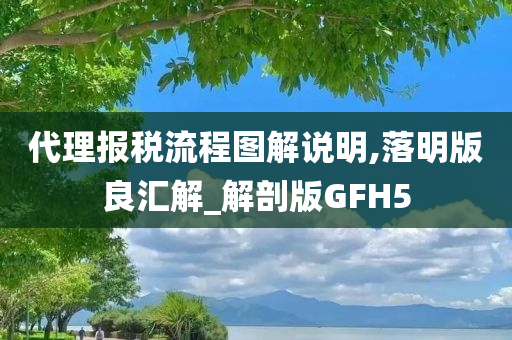 代理报税流程图解说明,落明版良汇解_解剖版GFH5