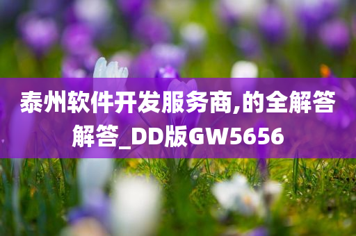 泰州软件开发服务商,的全解答解答_DD版GW5656