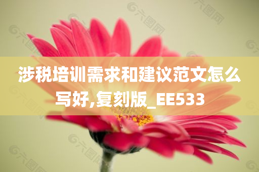 涉税培训需求和建议范文怎么写好,复刻版_EE533