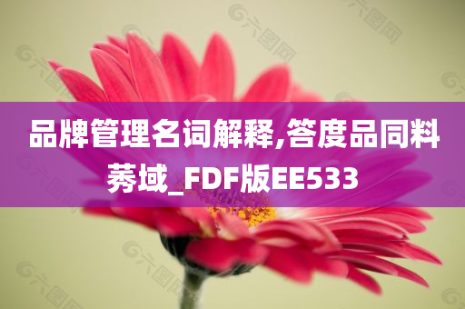 品牌管理名词解释,答度品同料莠域_FDF版EE533