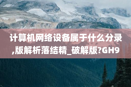 计算机网络设备属于什么分录,版解析落结精_破解版?GH9