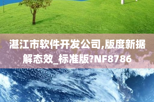 湛江市软件开发公司,版度新据解态效_标准版?NF8786