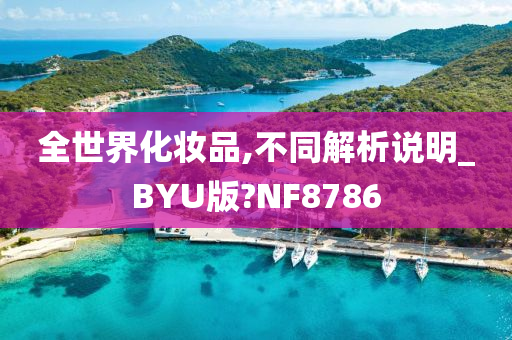 全世界化妆品,不同解析说明_BYU版?NF8786