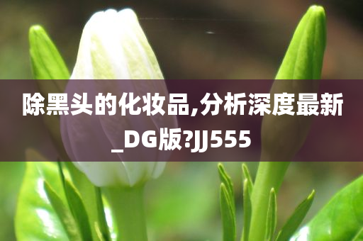 除黑头的化妆品,分析深度最新_DG版?JJ555