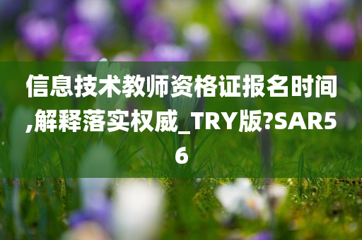 信息技术教师资格证报名时间,解释落实权威_TRY版?SAR56