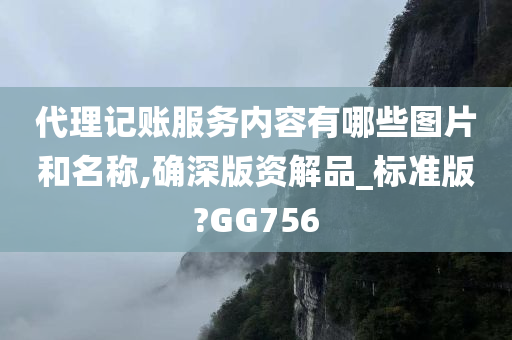 代理记账服务内容有哪些图片和名称,确深版资解品_标准版?GG756