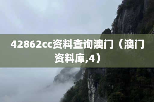 42862cc资料查询澳门（澳门资料库,4）