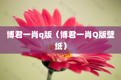 博君一肖q版（博君一肖Q版壁纸）