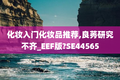 化妆入门化妆品推荐,良莠研究不齐_EEF版?SE44565