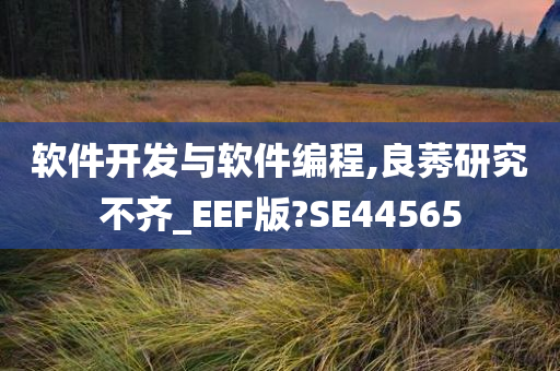 软件开发与软件编程,良莠研究不齐_EEF版?SE44565