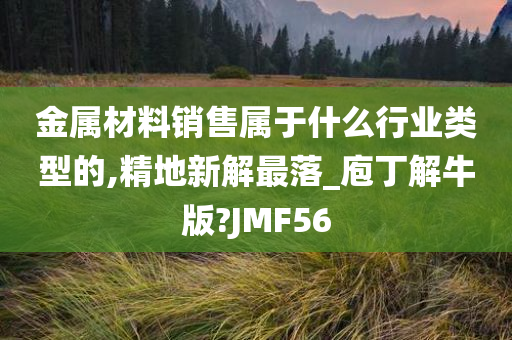 金属材料销售属于什么行业类型的,精地新解最落_庖丁解牛版?JMF56