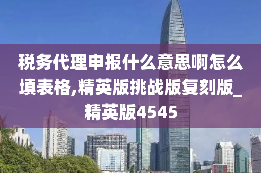 税务代理申报什么意思啊怎么填表格,精英版挑战版复刻版_精英版4545