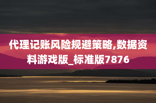 代理记账风险规避策略,数据资料游戏版_标准版7876