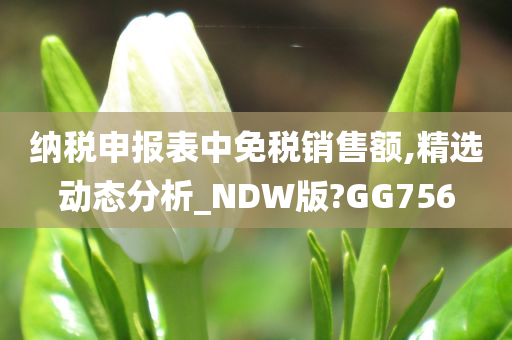 纳税申报表中免税销售额,精选动态分析_NDW版?GG756