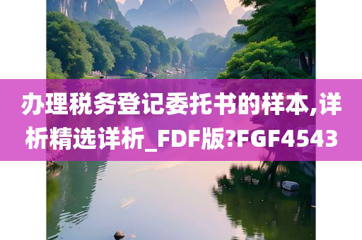 办理税务登记委托书的样本,详析精选详析_FDF版?FGF4543