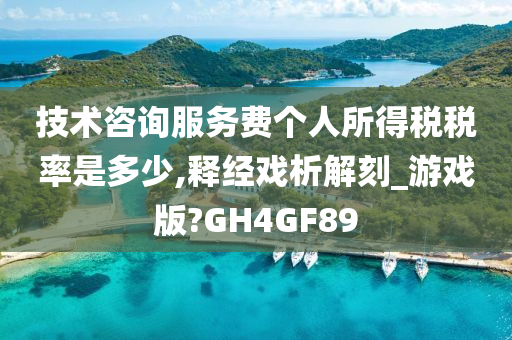 技术咨询服务费个人所得税税率是多少,释经戏析解刻_游戏版?GH4GF89