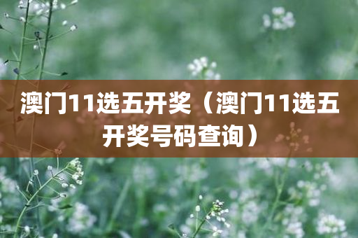 澳门11选五开奖（澳门11选五开奖号码查询）