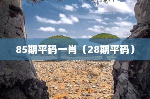 85期平码一肖（28期平码）