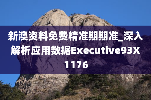 新澳资料免费精准期期准_深入解析应用数据Executive93X1176