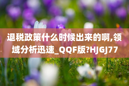 退税政策什么时候出来的啊,领域分析迅速_QQF版?HJGJ77