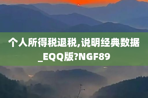 个人所得税退税,说明经典数据_EQQ版?NGF89