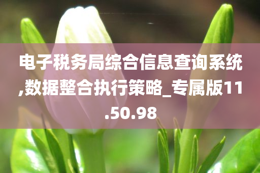 电子税务局综合信息查询系统,数据整合执行策略_专属版11.50.98