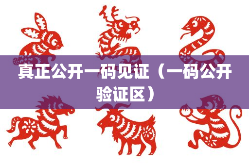 真正公开一码见证（一码公开验证区）