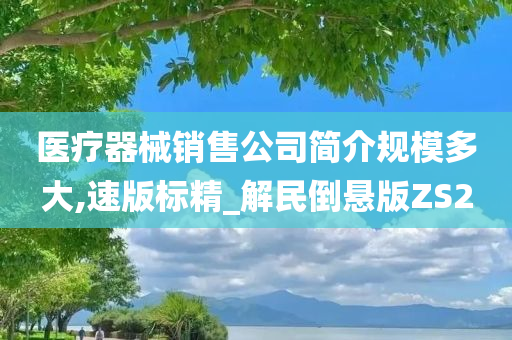 医疗器械销售公司简介规模多大,速版标精_解民倒悬版ZS2