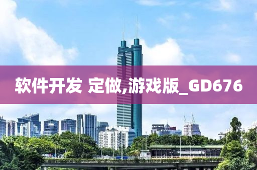 软件开发 定做,游戏版_GD676