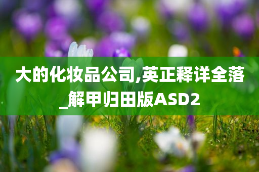 大的化妆品公司,英正释详全落_解甲归田版ASD2