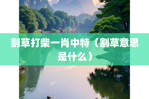 割草打柴一肖中特（割草意思是什么）