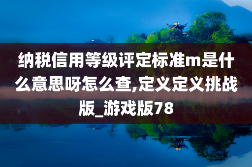 纳税信用等级评定标准m是什么意思呀怎么查,定义定义挑战版_游戏版78