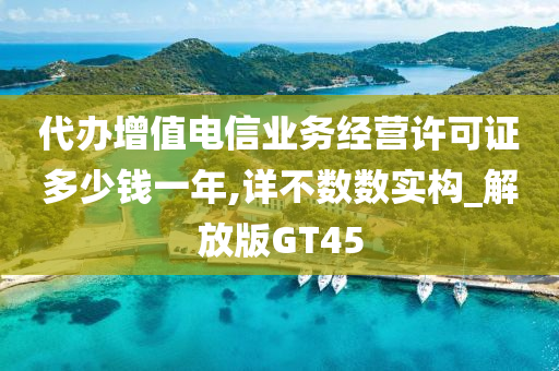 代办增值电信业务经营许可证多少钱一年,详不数数实构_解放版GT45