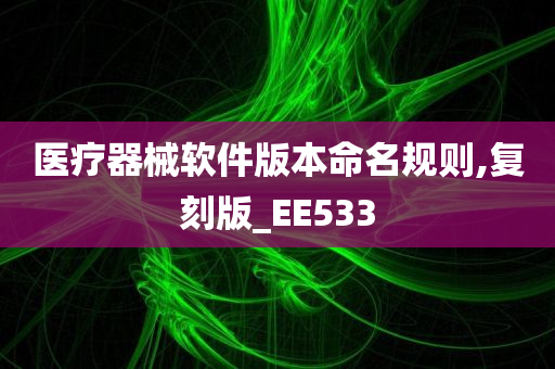 医疗器械软件版本命名规则,复刻版_EE533