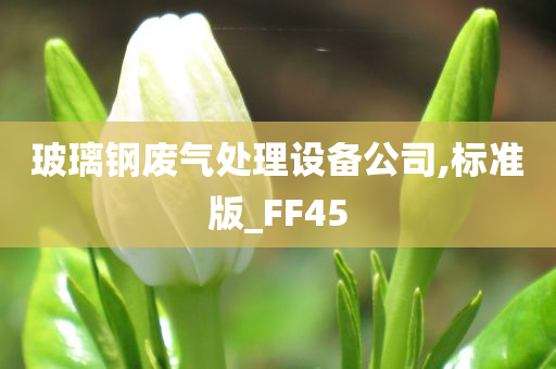 玻璃钢废气处理设备公司,标准版_FF45