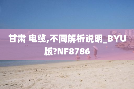 甘肃 电缆,不同解析说明_BYU版?NF8786