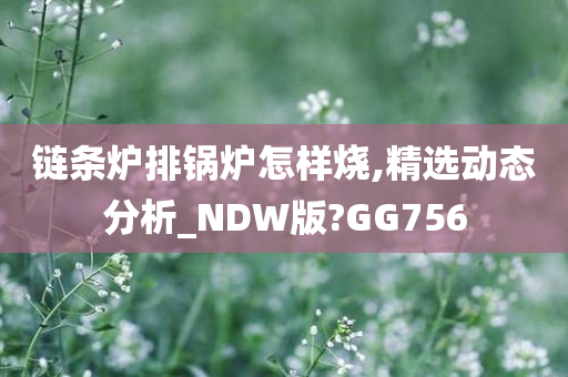 链条炉排锅炉怎样烧,精选动态分析_NDW版?GG756